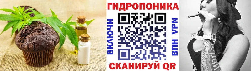 Купить закладки Ардатов Canna-Cookies марихуана