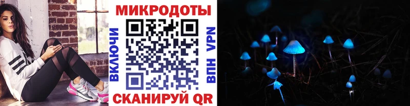 Псилоцибиновые грибы Magic Shrooms Купить закладки Ардатов
